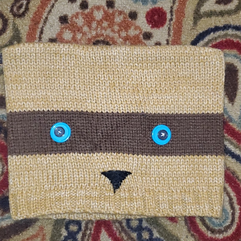 Raccoon hat